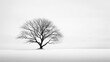  a black and white photo of a lone tree in the middle of a snowy field with no leaves on it.