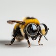 Close-up Photo of a Bee Wearing Goggles