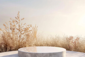 Wall Mural - Abstract natural field scene with podium for product display and frosted glass background.