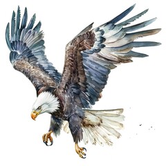 Wall Mural - Watercolour of Eagle