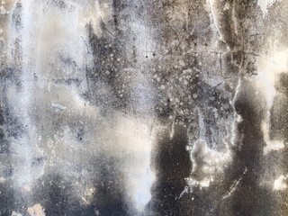 Wall Mural - Weathered white concrete wall background and texture with black algae