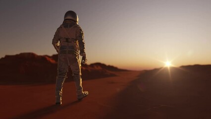 Wall Mural - astronaut walking the surface of mars