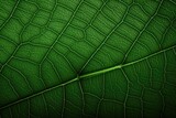 Fototapeta  - Macro of green leaves Generated by AI