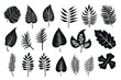 Set of tropical leaves silhouettes. Collection palm leaves. Jungle exotic leaves and botanical plants. Vector illustration. Generative Ai