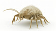 3d illustration of a dust mite