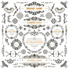 Wall Mural - set of vintage decorations flourishes elements.