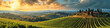 Panoramic view of Tuscan vineyards at sunset. Rolling hills, farmhouse, and grapevines. Wine tourism and rural landscape concept for poster and banner
