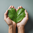 Hands holding a heart shape green leaf. Care for the environment ecology, save the world, Green Energy and love nature, Generative AI.