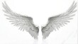 photo of white angel wings isolated on white background