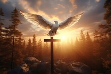 Sun, Forest, Dove, Cross: Symbols Of Death And Resurrection.