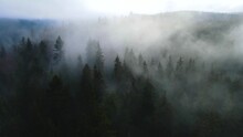 Flying Drone Over The Cloudy Fog Haze Of The Black Forest In Southern Germany. Black Forest View From Mount Blauen To Belchen.