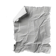 Canvas Print - White paper torn piece dirty wrinkled glued paper poster texture