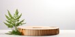 Empty wooden stand studio with a wood slice podium, green spruce branches, and a white background. Suitable for new product demos, promotions, banners, presentations, and cosmetics showcases.