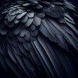 Black feathered background texture, raven wing closeup