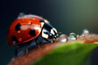closeup of red ladybug with black dots, macro shot