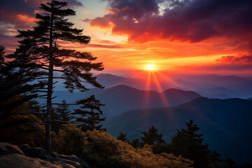 Wall Mural - sunset in smoky fog mountains