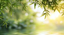 Green Bamboo Leaves Over Sunny Water Surface Background Banner, Beautiful Spa Nature Scene With Asian Spirit And Copy Spac