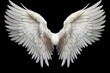 A pair of white fairy wings with soft feathers on a black background. generative AI