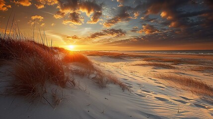 Canvas Print - Sunset at the dune beach