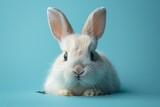 Fototapeta Zachód słońca - Bunny Boom: The Cutest Easter Bunnies of the Month Generative AI