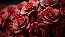 Red Roses On Black Background. Valentine's Day Background.