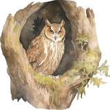 Fototapeta  - Long-eared owl in a hollow tree created with Generative AI technology