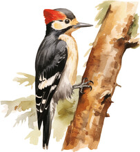 Woodpecker Sitting On A Tree Created With Generative AI Technology