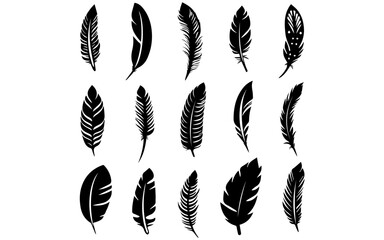 Wall Mural - set of feathers vector