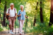 This Image Of A Senior Couples Leisurely Walk In The Woods Speaks To The Timeless Appeal Of Nature Embrace And Shared Quiet Moments. Nature Embrace, Quiet Moments Concept