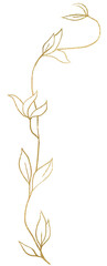 Wall Mural - Hand drawn twig with leaves, golden outlines, isolated illustration, wedding stationery element