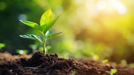 Poster - Terra Investa: Cultivating Global Investment Ecosystem