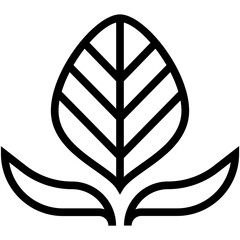 Poster - Leaf Vector Icon