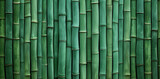 Fototapeta Sypialnia - Background green bamboo texture