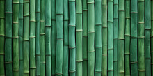 Background Green Bamboo Texture