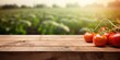 © Sona - Tomato field background with wooden table top in daylight.