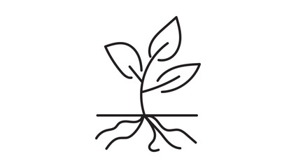 Wall Mural - plant and root line icon in white and black colors. plant and root flat vector icon from plant root collection for web, mobile apps ui