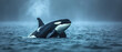 wallpaper of a orcas under water,	
