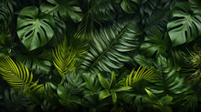 Background With Green Leaves
