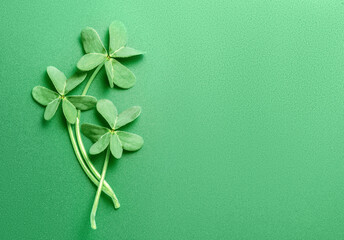 Wall Mural - St. Patrick's Day background decorated with shamrock leaves. Patrick Day pub party celebrating. Abstract Border art design backdrop. Widescreen clovers on green with copy space. Top view , flat lay 