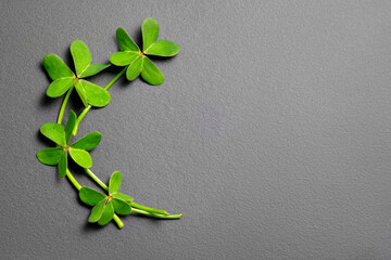 Wall Mural - St. Patrick's Day background decorated with shamrock leaves. Patrick Day pub party celebrating. Abstract Border art design backdrop. Widescreen clovers on black with copy space. Top view, flat lay