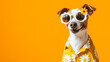 © romanets_v - Stylish Dog Wearing Yellow Daisy Sunglasses and Shirt