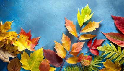 Wall Mural - autumn background with colored leaves on blue background 