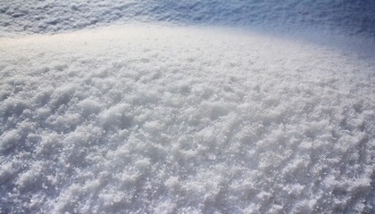 Canvas Print - beautiful sunny bright snow texture winter season copy space background selective focus used