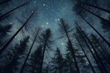 Night Sky With Stars And Silhouettes Of Trees In The Forest