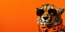 Leopard With Golden Sunglasses And Orange Scarf