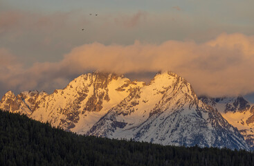 Poster - Scenic Winter Landscape in Grand Teton National Park Wyoming