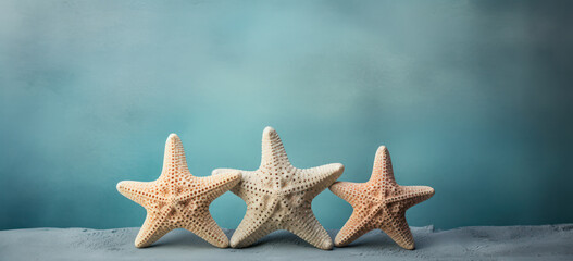 Wall Mural - Summer Vacation: Starfish on Sandy Beach, an Exotic Tropical Getaway with Blue Sea and Clear Blue Sky