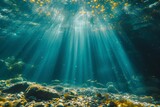 Fototapeta Do akwarium - An underwater photo of the ocean with sunlight coming into the water and lots of fish.	
