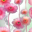 Close magic corollas of pink gerberas in a light variegated transparent watercolor color, on their stems and a gradient light gray background