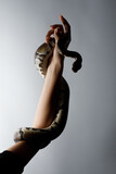 Fototapeta Na drzwi - python snake plays with a young blond woman